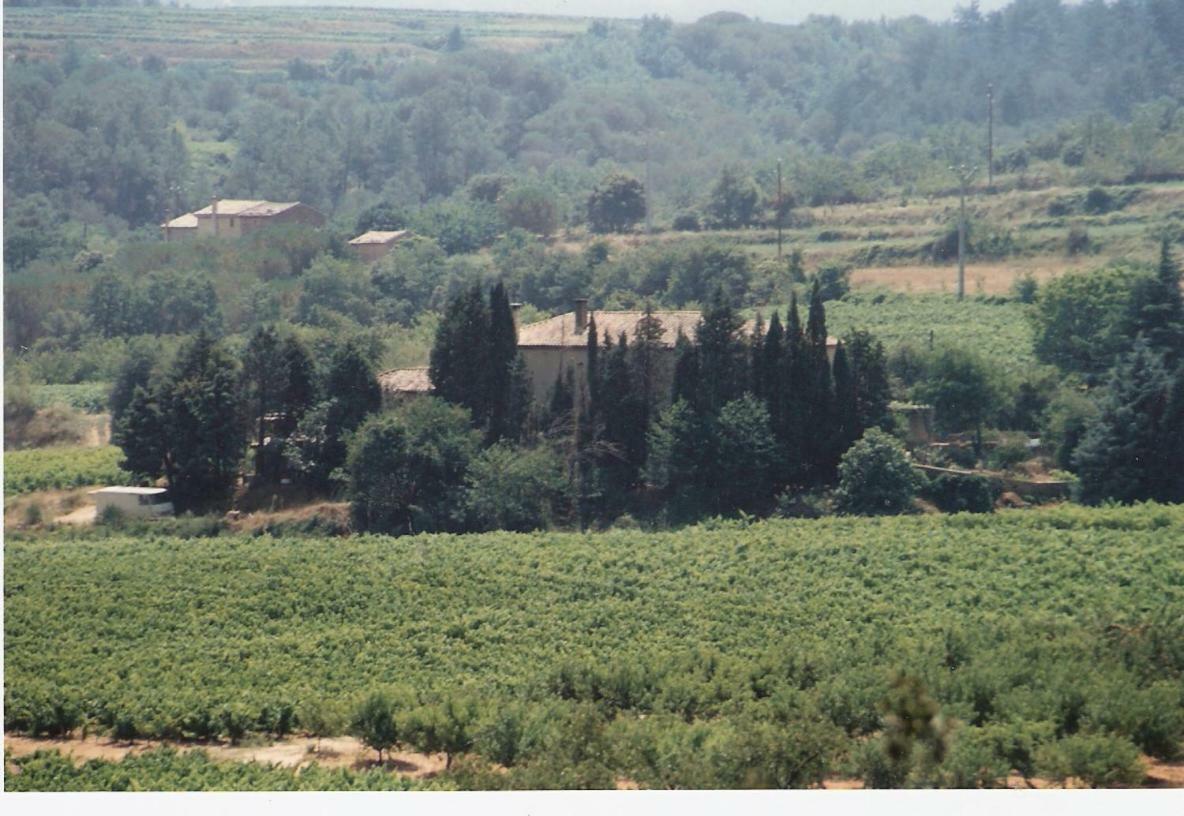 Domaine Chanoine Rambert Saint-Andre-d'Olerargues Eksteriør billede